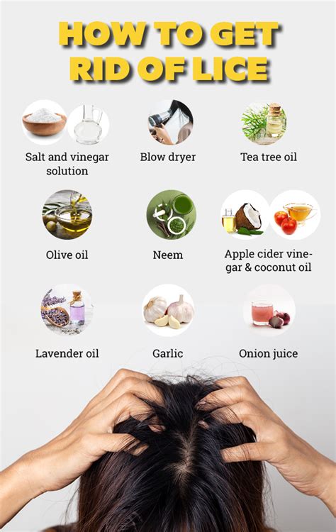artemide lice|How to Kill and Get Rid of Head Lice: Treatment and Remedies.